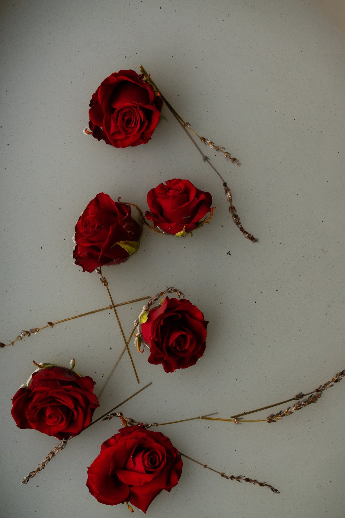 Rose & Smoke